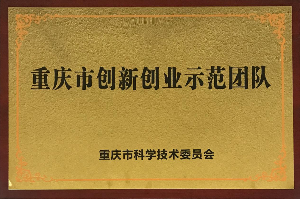 重庆市立异创业树模团队