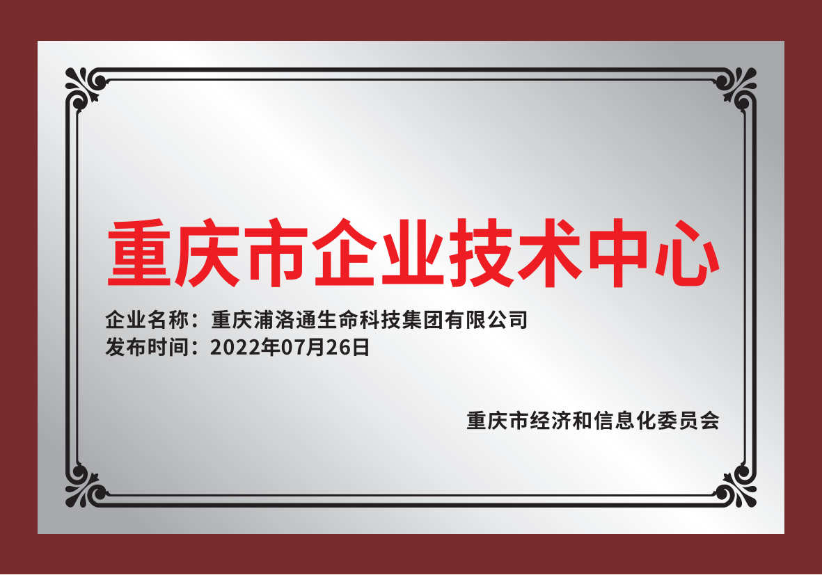 重庆市企业手艺中心